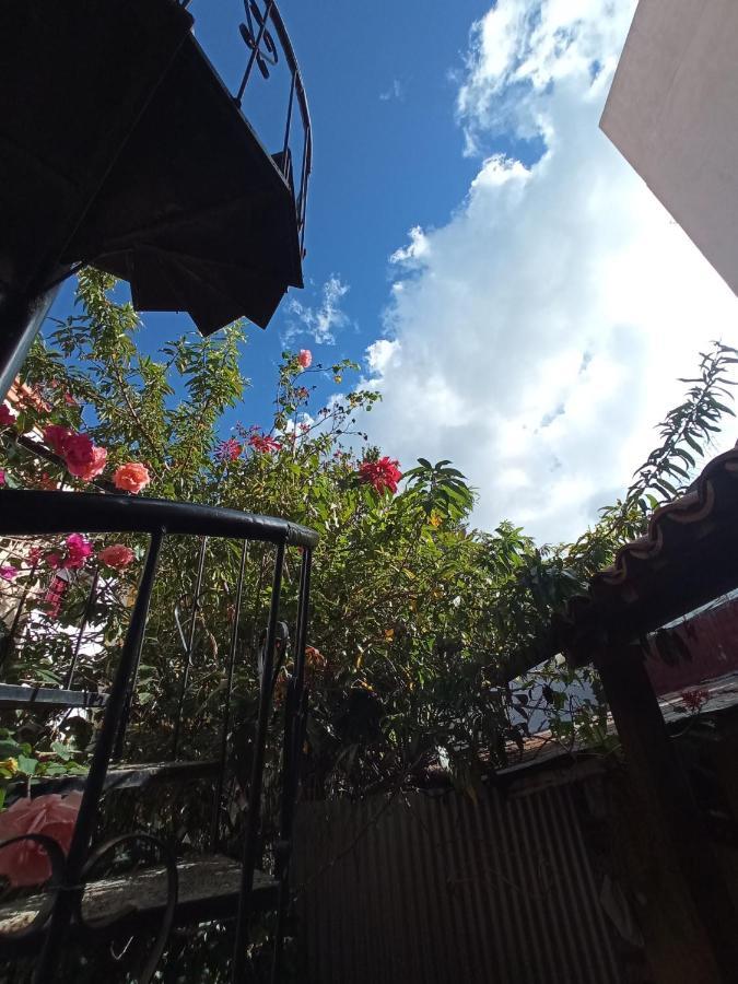 Kaza Muta Bed & Breakfast San Cristobal de las Casas Luaran gambar