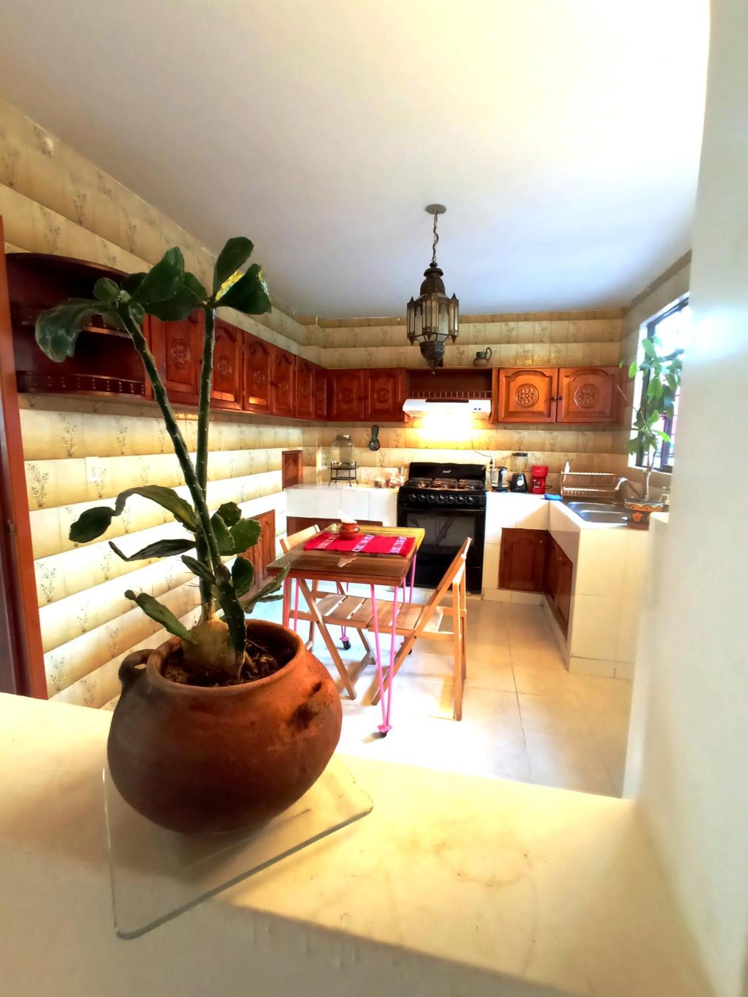 Kaza Muta Bed & Breakfast San Cristobal de las Casas Luaran gambar